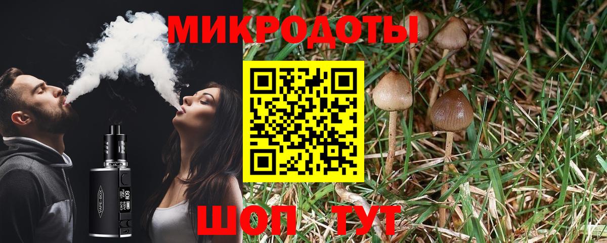 Галлюциногенные грибы MAGIC MUSHROOMS Томск