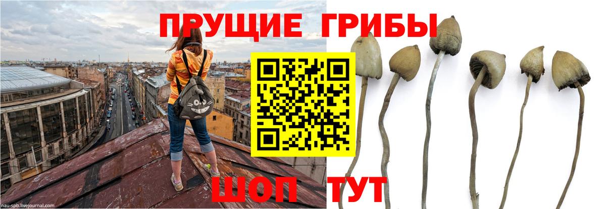 Псилоцибиновые грибы мухоморы  Вход с VPN  Томск 